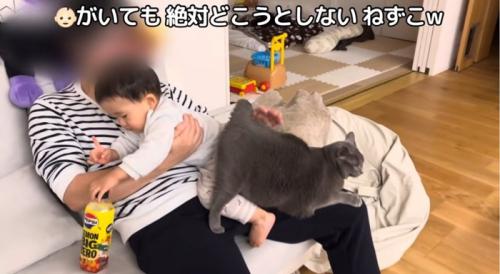 子供を抱いて膝に猫を乗せている人