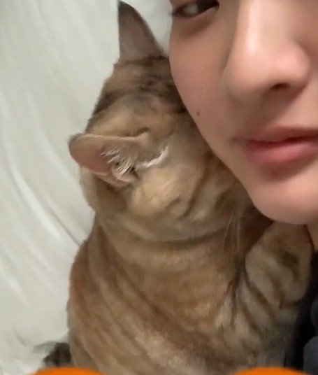 くっついている飼い主と猫