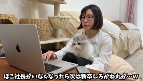女性の膝の上に乗っている猫