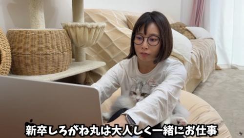女性の膝の上に乗っている猫