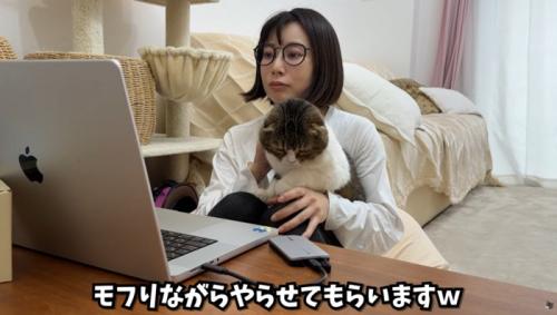 女性の膝の上に乗っている猫