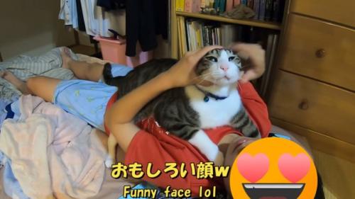 なでられていて面白い顔になった猫
