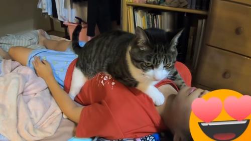 娘さんの胸の上に乗っかる猫