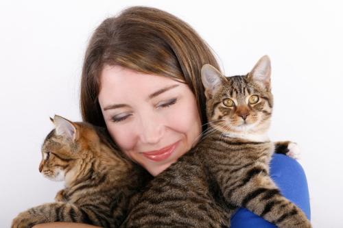 そっくりな2匹の猫を抱く女性