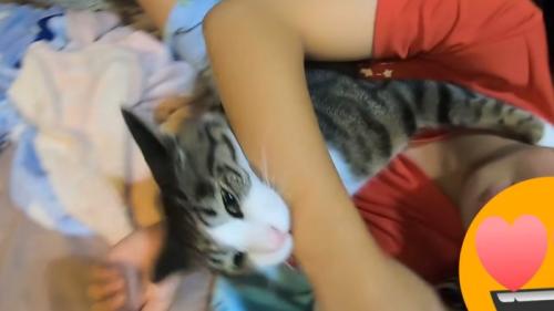 娘さんの腕にかみつく猫