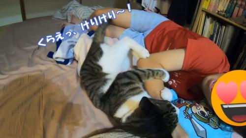 娘さんの腕にけりけりする猫