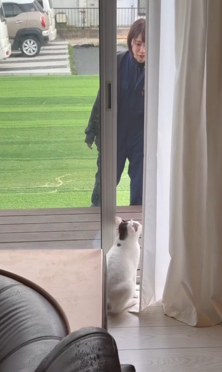 窓際の猫と庭にいる女性