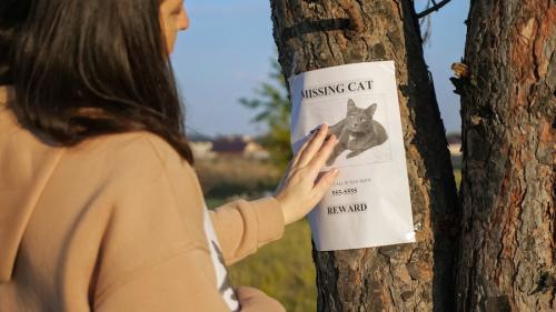 迷い猫のポスターを貼る女性