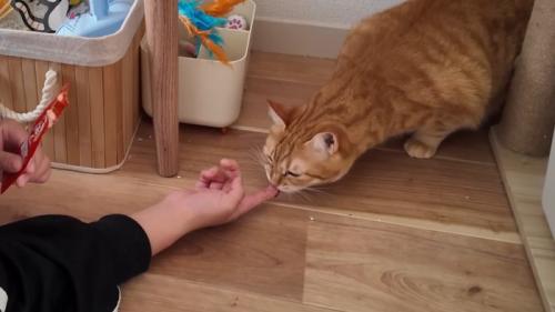 指をペロペロ