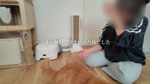 へちまに触れて
