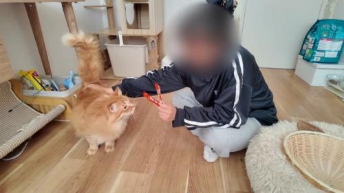 なでなで
