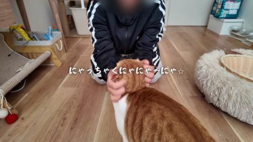 にゃっちゃく