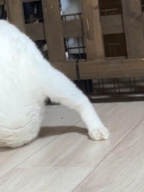 一見すると何が写っているのか分からない写真