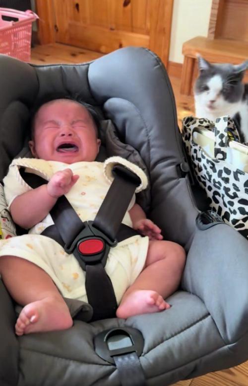 泣いている赤ちゃんと猫