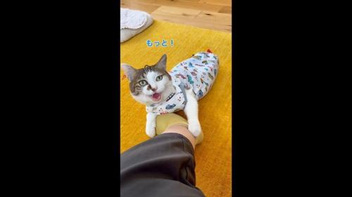 もっと！