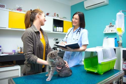 笑顔で話す飼い主と女性獣医師