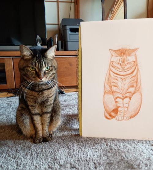 絵の隣に座る猫