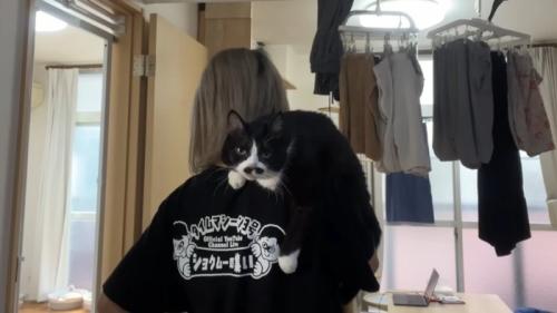 肩乗り