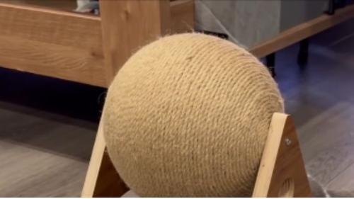猫の爪とぎ