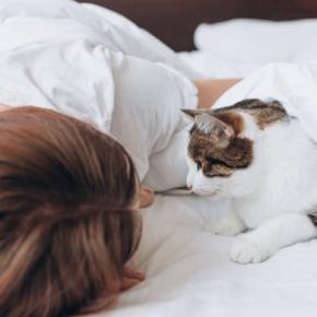 猫が『一緒に寝たい』と思う人が持っている特徴5つ　選ばれるためのコツや添い寝するときの注意点まで