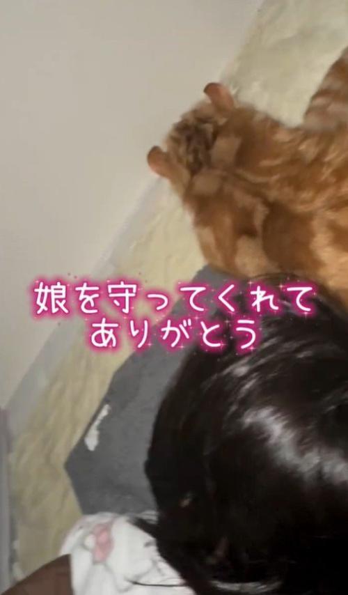 娘に寄り添って眠る猫