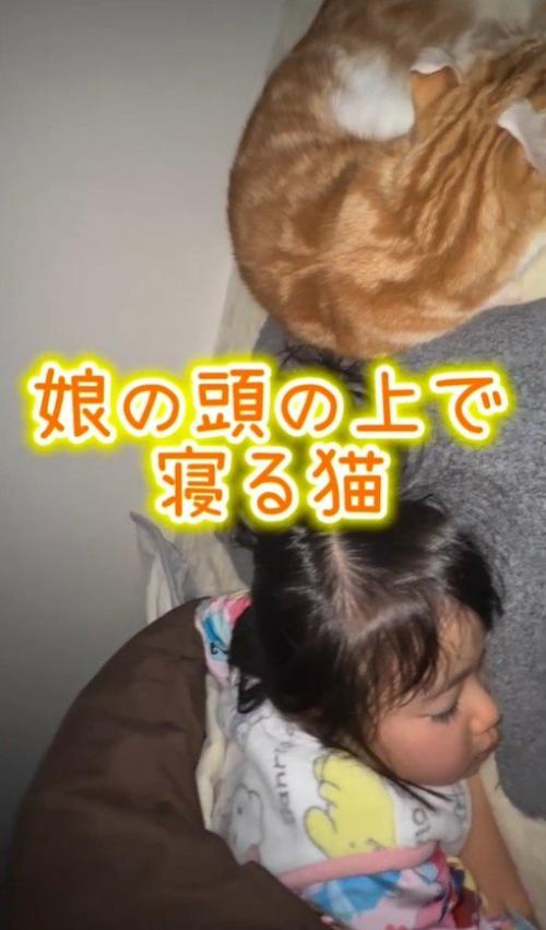 娘の頭の上で眠る猫