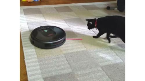 猫とロボット掃除機