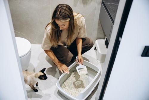トイレ掃除する女性