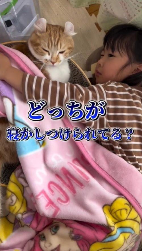 猫を寝かしつける娘
