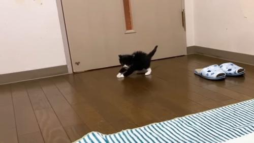 ひとり遊び