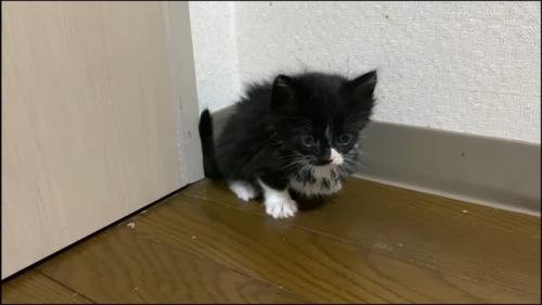 部屋の隅っこ