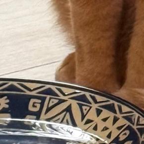 猫に水を飲んでほしくて『鰹節』を入れてみた結果…想定外の『可愛すぎる行動』に２万いいね「だしが出るのを待ってるかも」「笑ったｗ」