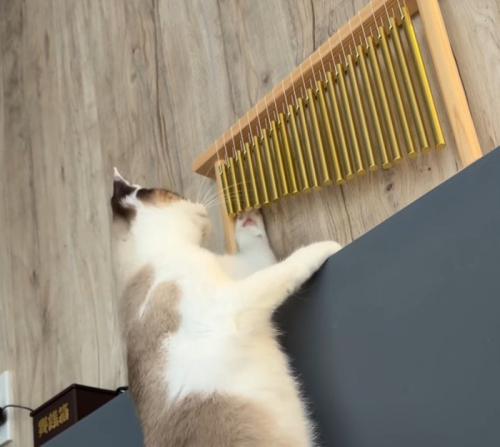 ウインドチャイムに前足を当てる猫