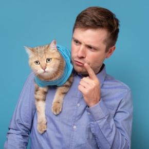 猫に伝わりやすい『褒め方・叱り方』の方法3つ　誤った方法では逆効果に？やってはいけないNG行為も