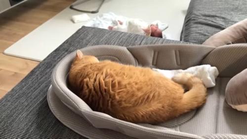 横たわる後ろ姿