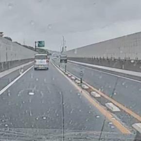 車の運転中、道路の端に『小さな子猫』を発見…驚きの瞬間と保護された『現在の様子』に感動の声「よく気が付いてくれた」「ありがとう」