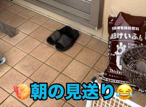 「朝の見送り」と書かれた猫なし写真（スプレッドシートの指示通り）