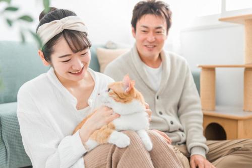猫と夫婦