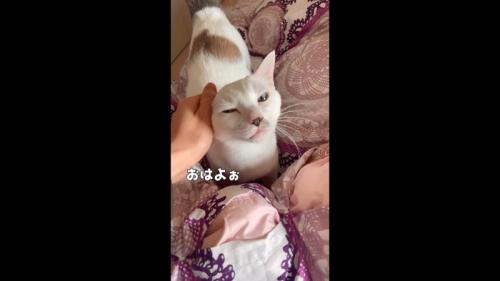 おはよぉ
