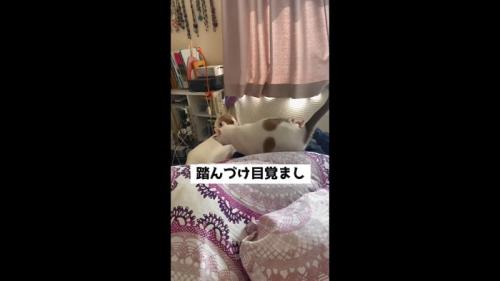 踏んづけ目覚まし