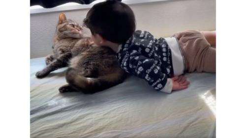 猫と子ども