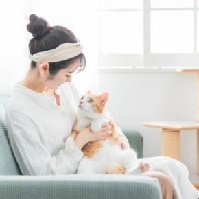 猫が『人間の言葉を理解している』ときの仕草5つ　どのぐらい伝わるの？声を掛けるときのポイントまで