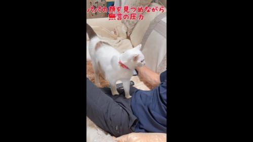 無言の圧力