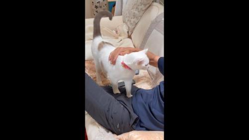 パパの方を向いて