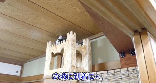 お城に着いたボス吉くん