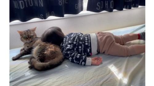猫と子ども