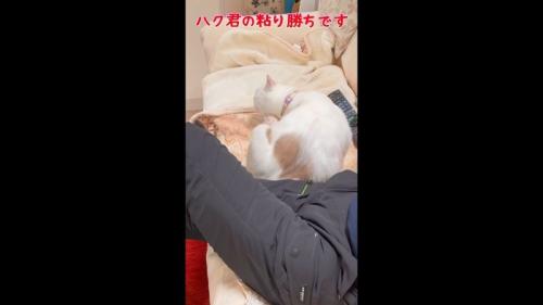 ハク君の粘り勝ち