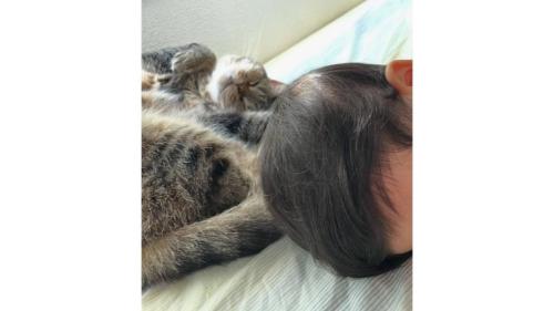 猫と子ども