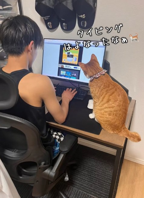 子供と一緒にパソコンを見ている猫