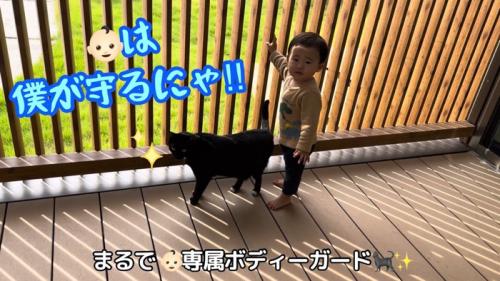 テロップ「まるで専属ボディガード」